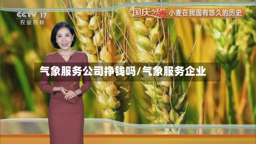 气象服务公司挣钱吗/气象服务企业-第2张图片