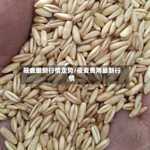 莜麦最新行情走势/莜麦费用最新行情