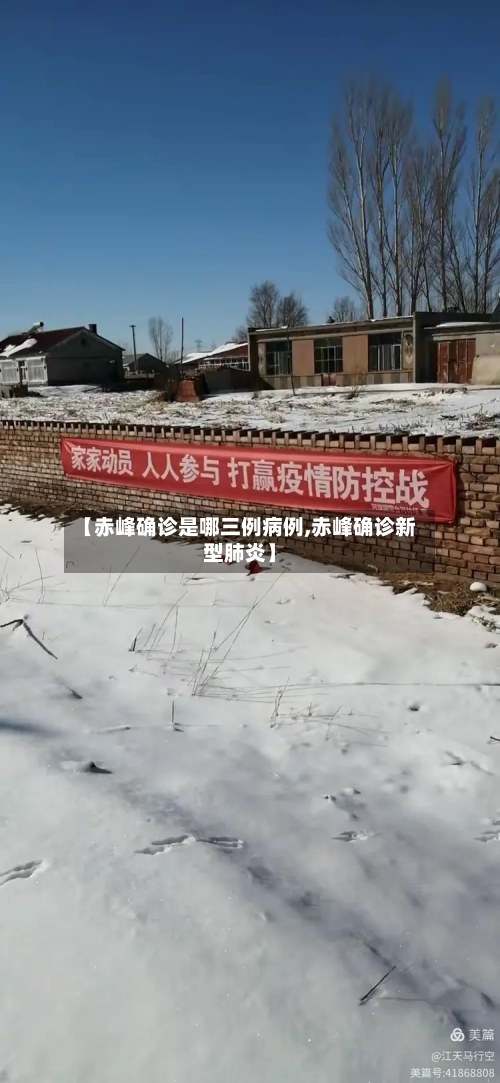 【赤峰确诊是哪三例病例,赤峰确诊新型肺炎】-第2张图片