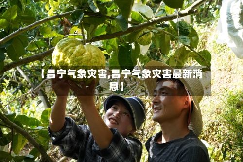 【昌宁气象灾害,昌宁气象灾害最新消息】-第2张图片