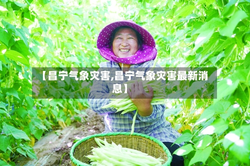 【昌宁气象灾害,昌宁气象灾害最新消息】