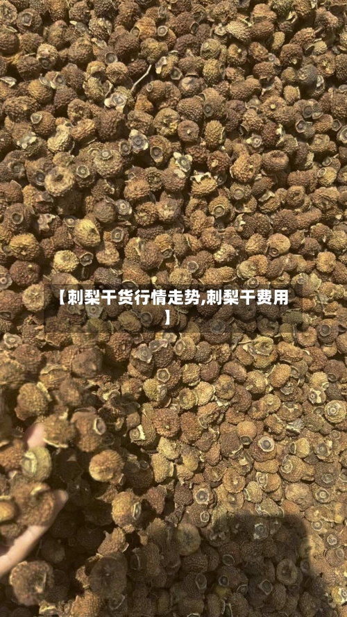 【刺梨干货行情走势,刺梨干费用】-第2张图片