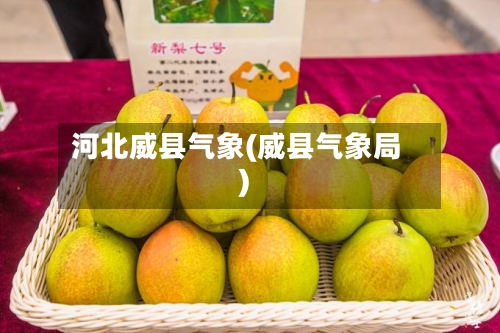 河北威县气象(威县气象局)-第3张图片