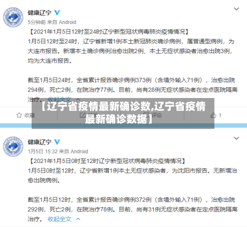 【辽宁省疫情最新确诊数,辽宁省疫情最新确诊数据】-第3张图片