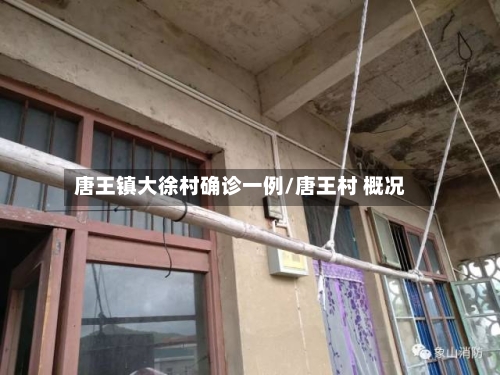 唐王镇大徐村确诊一例/唐王村 概况