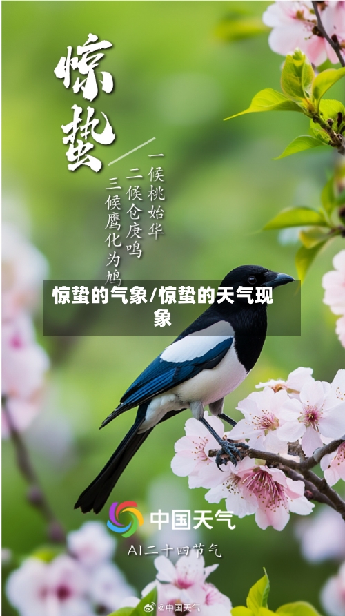 惊蛰的气象/惊蛰的天气现象-第2张图片