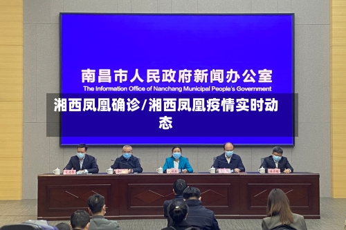 湘西凤凰确诊/湘西凤凰疫情实时动态-第2张图片