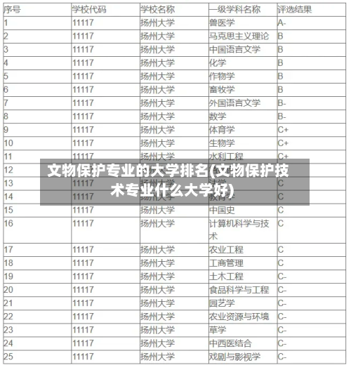 文物保护专业的大学排名(文物保护技术专业什么大学好)-第2张图片