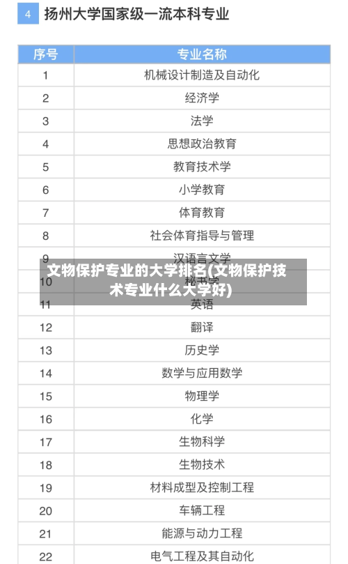 文物保护专业的大学排名(文物保护技术专业什么大学好)