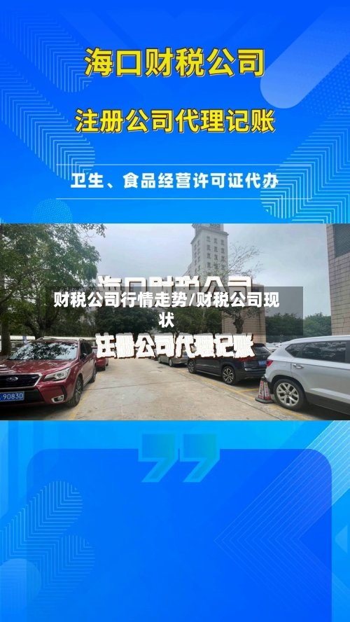 财税公司行情走势/财税公司现状-第2张图片
