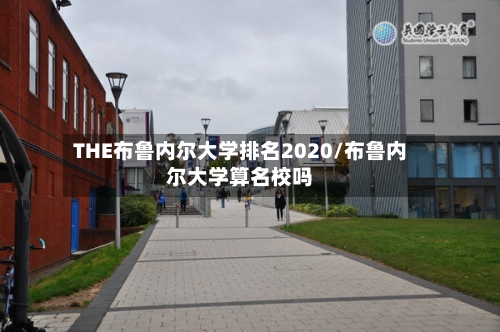THE布鲁内尔大学排名2020/布鲁内尔大学算名校吗-第2张图片