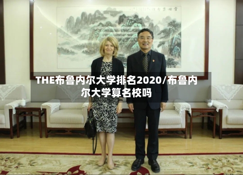 THE布鲁内尔大学排名2020/布鲁内尔大学算名校吗