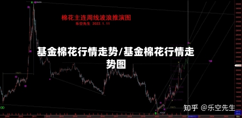 基金棉花行情走势/基金棉花行情走势图-第2张图片