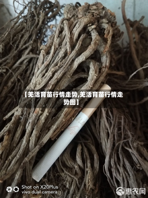 【羌活育苗行情走势,羌活育苗行情走势图】