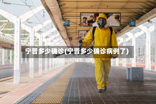 宁晋多少确诊(宁晋多少确诊病例了)-第2张图片