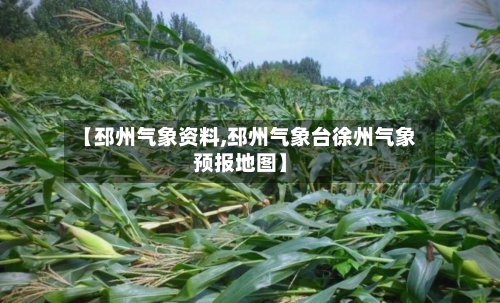 【邳州气象资料,邳州气象台徐州气象预报地图】-第3张图片