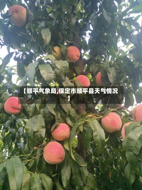 【顺平气象局,保定市顺平县天气情况】-第3张图片