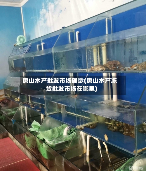 唐山水产批发市场确诊(唐山水产冻货批发市场在哪里)