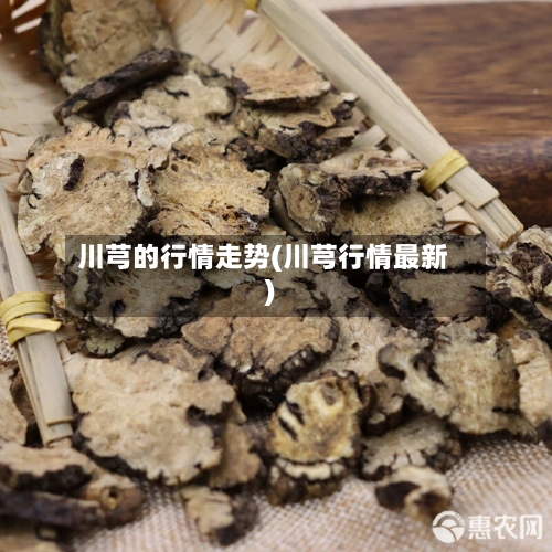 川芎的行情走势(川芎行情最新)-第2张图片
