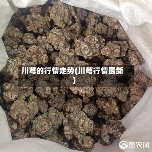 川芎的行情走势(川芎行情最新)-第3张图片