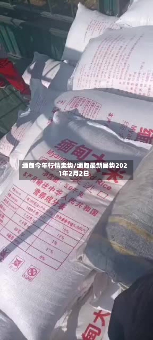 缅甸今年行情走势/缅甸最新局势2021年2月2日-第2张图片