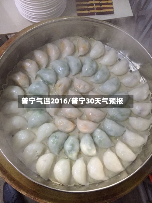 普宁气温2016/普宁30天气预报