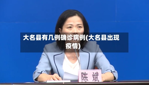大名县有几例确诊病例(大名县出现疫情)