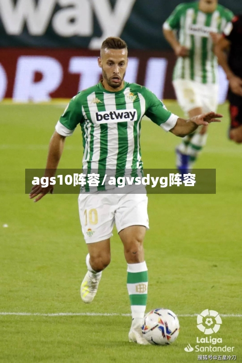 ags10阵容/agvsdyg阵容