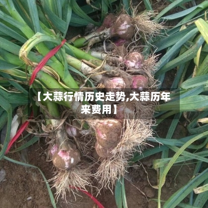 【大蒜行情历史走势,大蒜历年来费用】