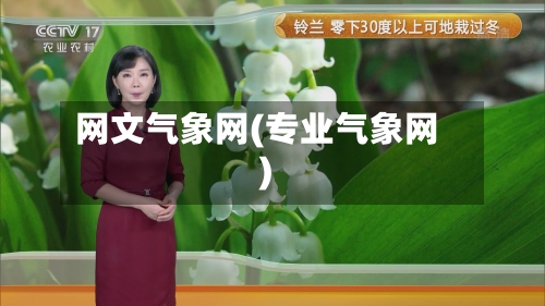 网文气象网(专业气象网)-第2张图片