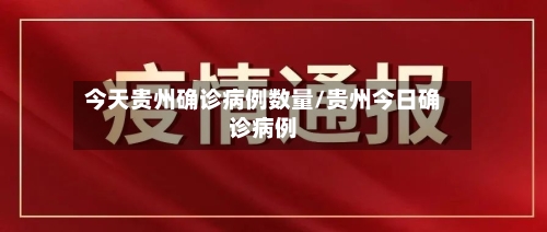 今天贵州确诊病例数量/贵州今日确诊病例-第2张图片