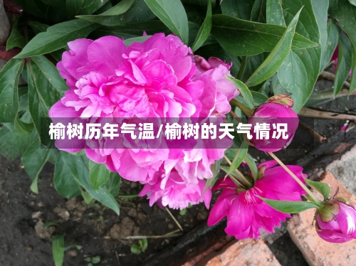榆树历年气温/榆树的天气情况-第2张图片
