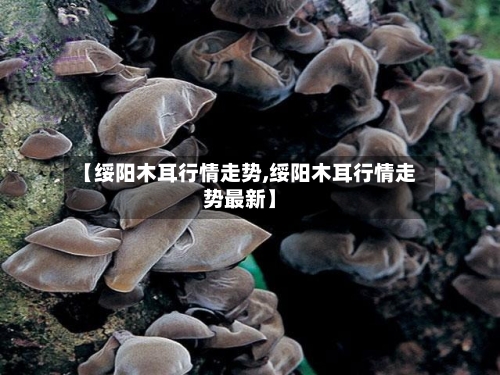 【绥阳木耳行情走势,绥阳木耳行情走势最新】-第3张图片