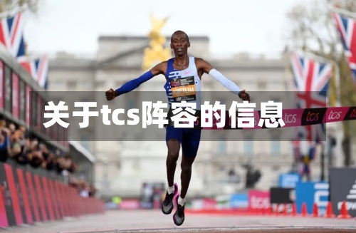 关于tcs阵容的信息-第2张图片