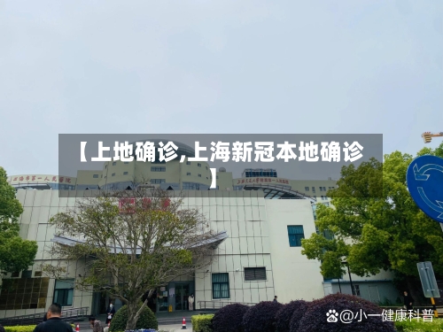 【上地确诊,上海新冠本地确诊】-第2张图片