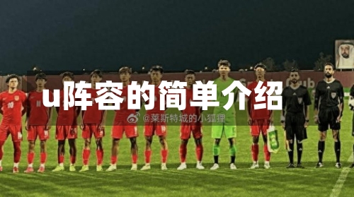 u阵容的简单介绍
