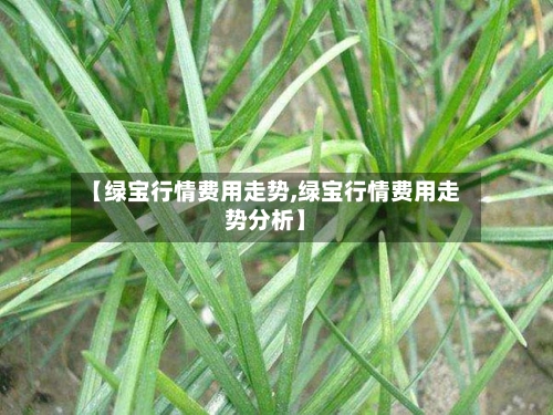【绿宝行情费用走势,绿宝行情费用走势分析】-第2张图片