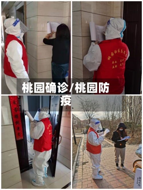 桃园确诊/桃园防疫