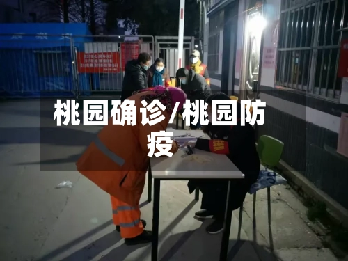 桃园确诊/桃园防疫-第2张图片