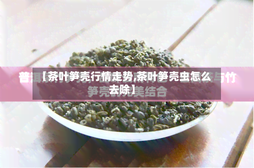 【茶叶笋壳行情走势,茶叶笋壳虫怎么去除】-第3张图片