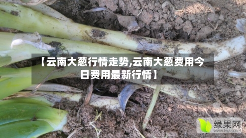 【云南大葱行情走势,云南大葱费用今日费用最新行情】-第2张图片
