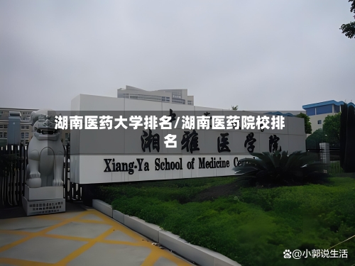 湖南医药大学排名/湖南医药院校排名