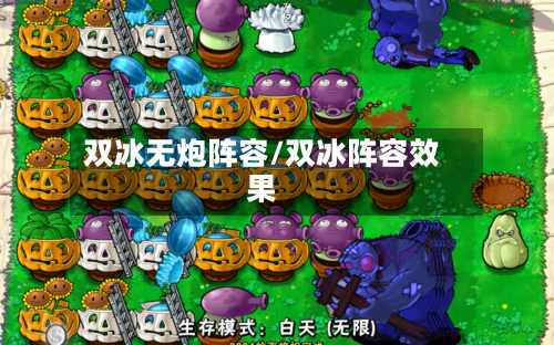 双冰无炮阵容/双冰阵容效果