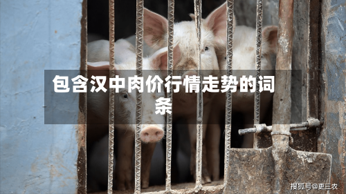 包含汉中肉价行情走势的词条