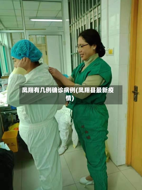 凤翔有几例确诊病例(凤翔县最新疫情)