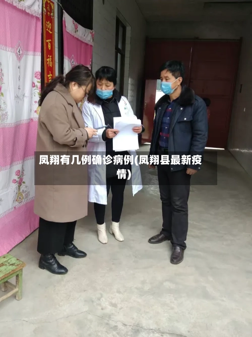 凤翔有几例确诊病例(凤翔县最新疫情)-第3张图片