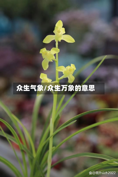 众生气象/众生万象的意思-第2张图片