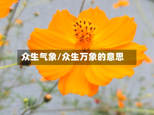 众生气象/众生万象的意思-第3张图片