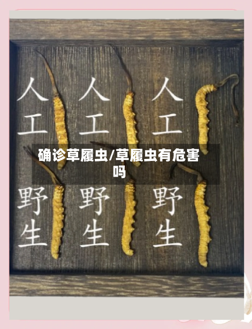 确诊草履虫/草履虫有危害吗-第2张图片