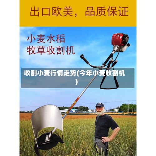收割小麦行情走势(今年小麦收割机)